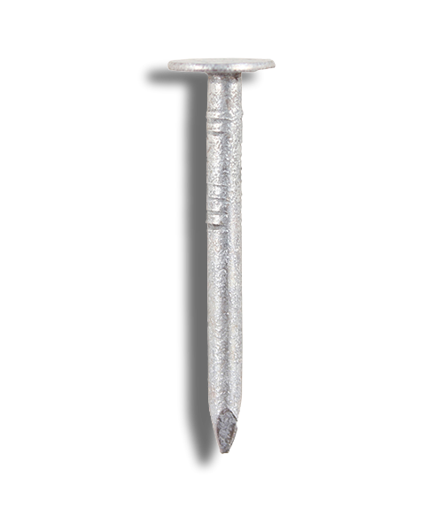 Galvanised Nails